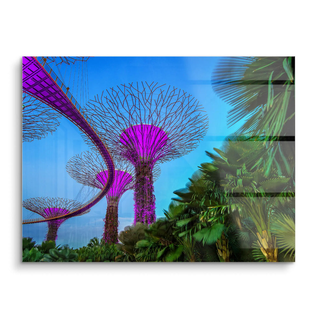 Singapore Nights
