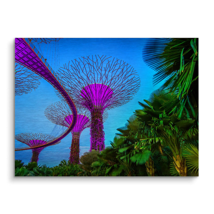 Singapore Nights