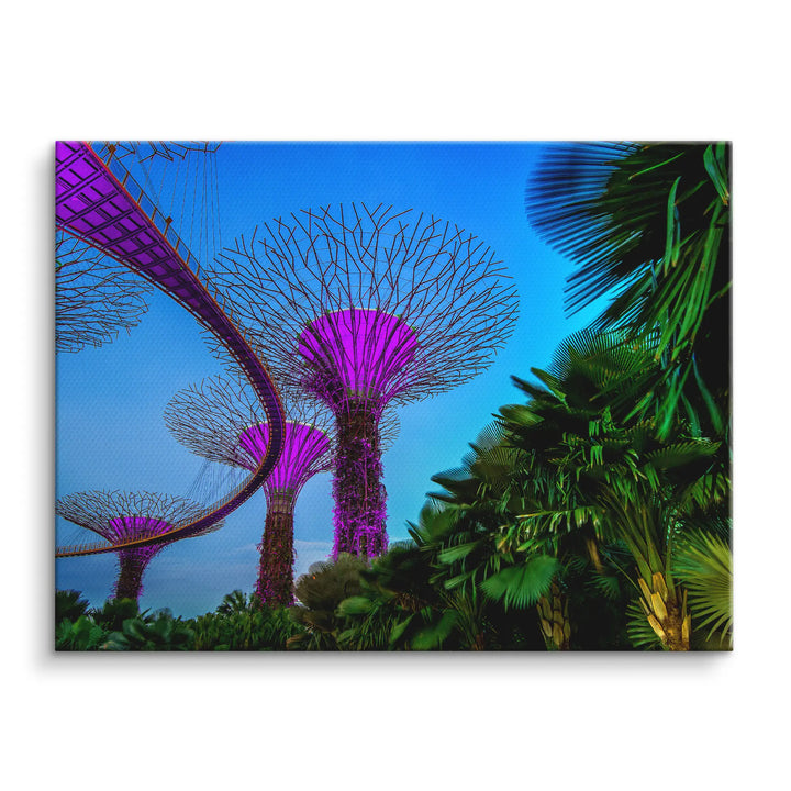 Singapore Nights