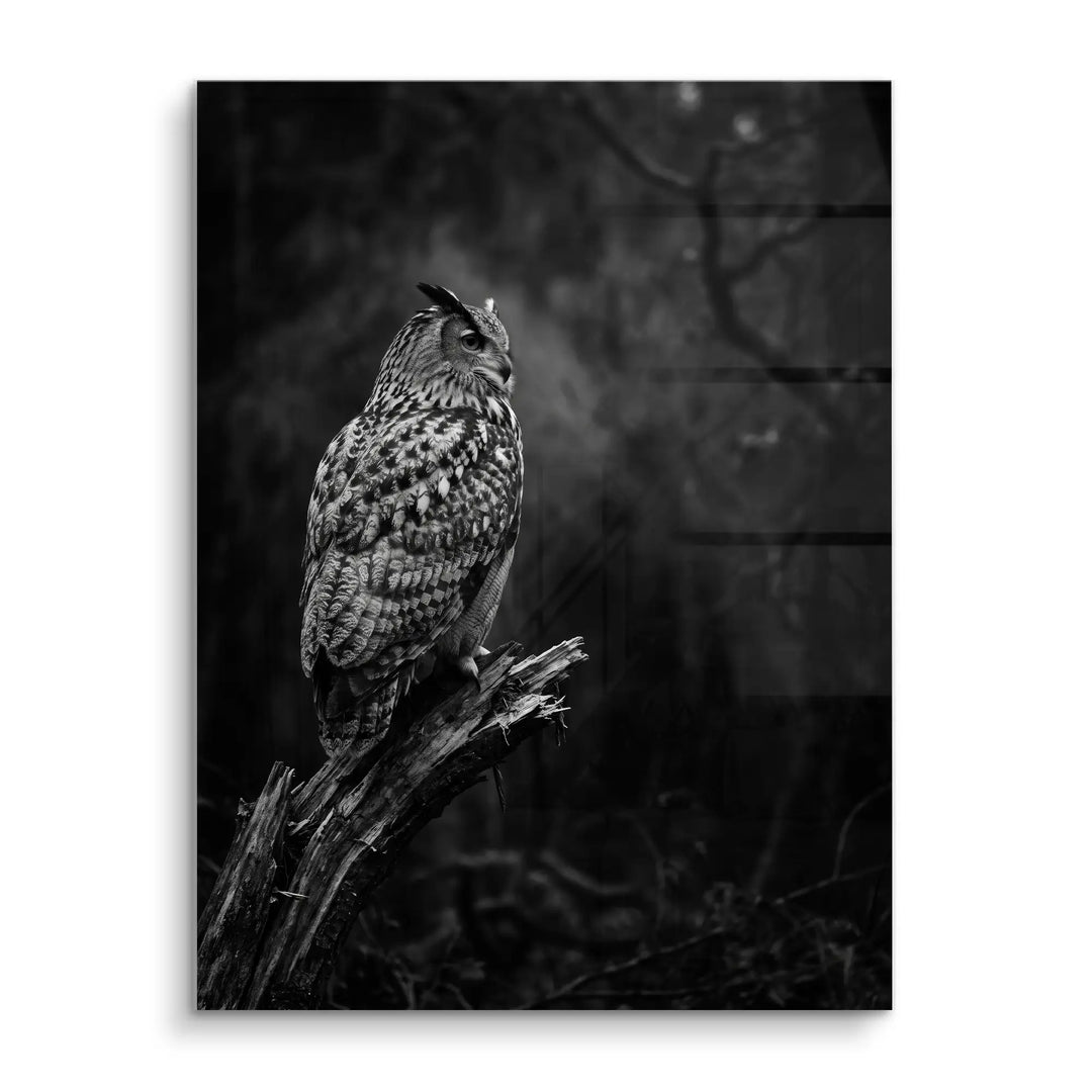 Silent Watcher