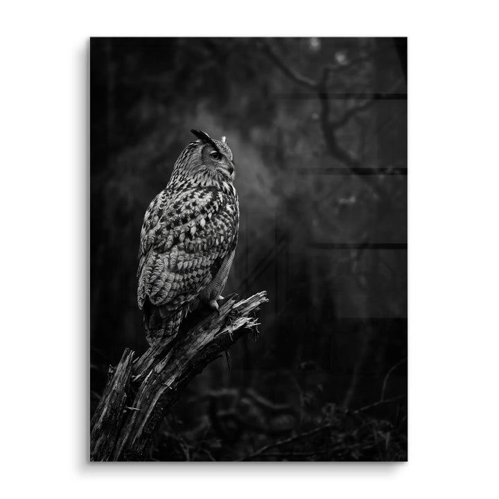 Silent Watcher