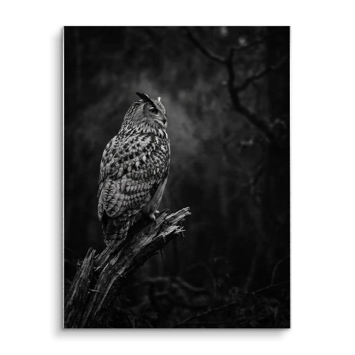 Silent Watcher