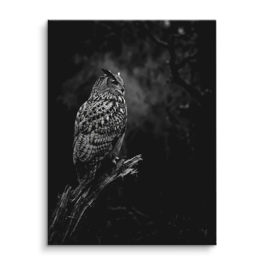 Silent Watcher