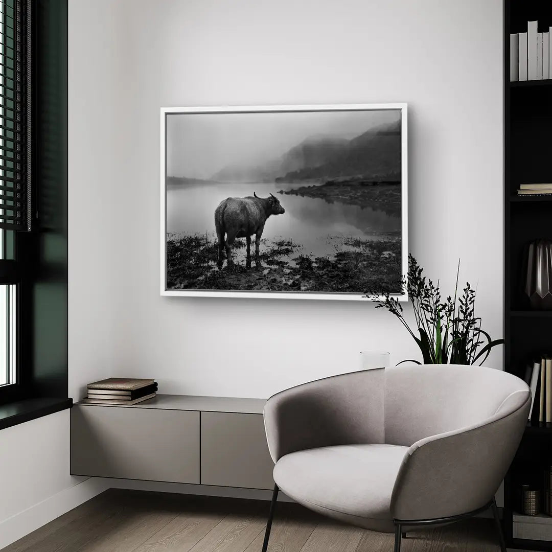 Silent Buffalo