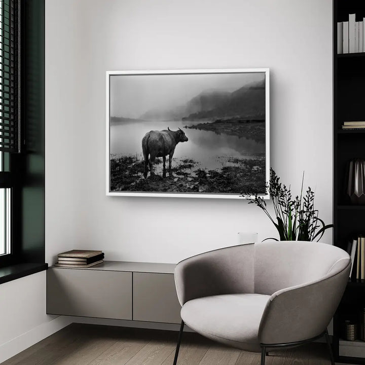 Silent Buffalo