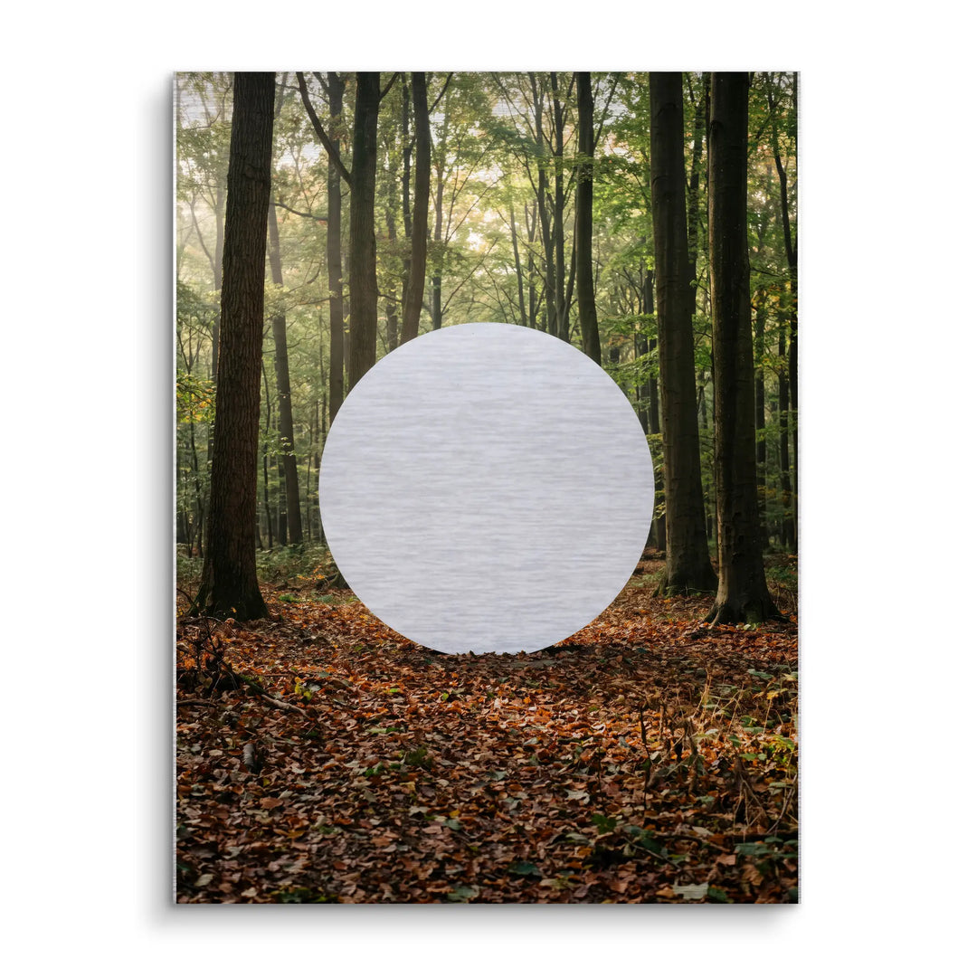 Silent Sphere