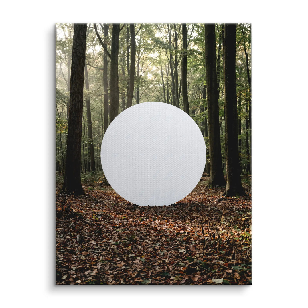 Silent Sphere