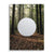 Silent Sphere