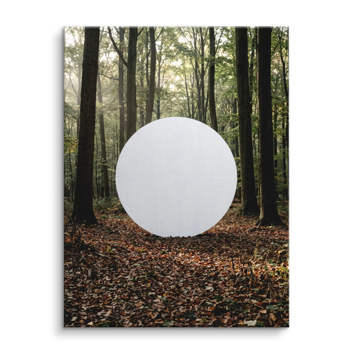 Silent Sphere