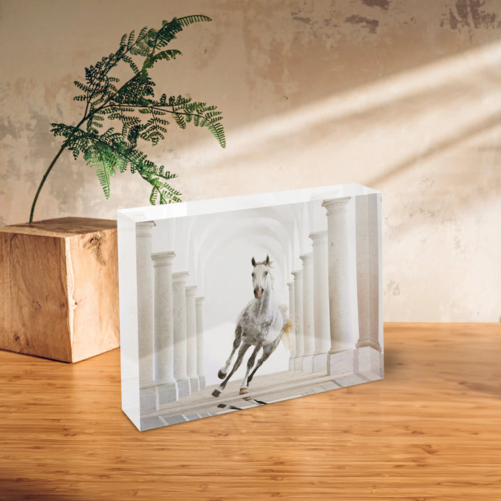 Colonnade Gallop