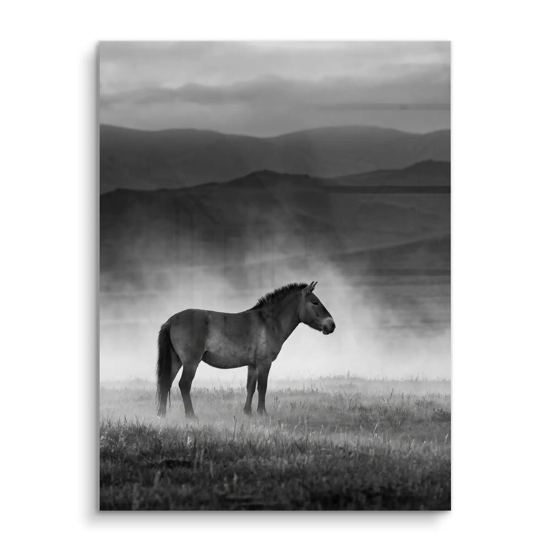 Wild Steppe Horse