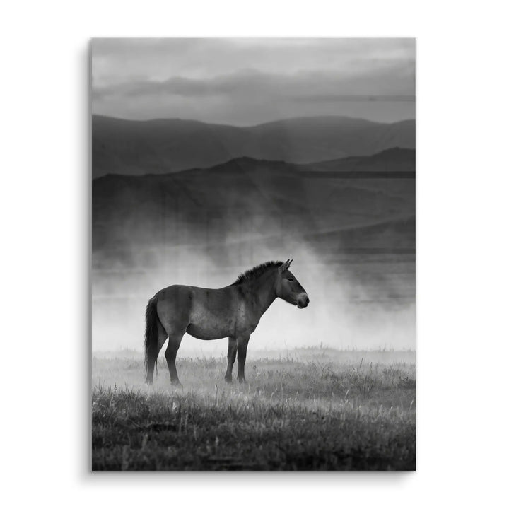 Wild Steppe Horse