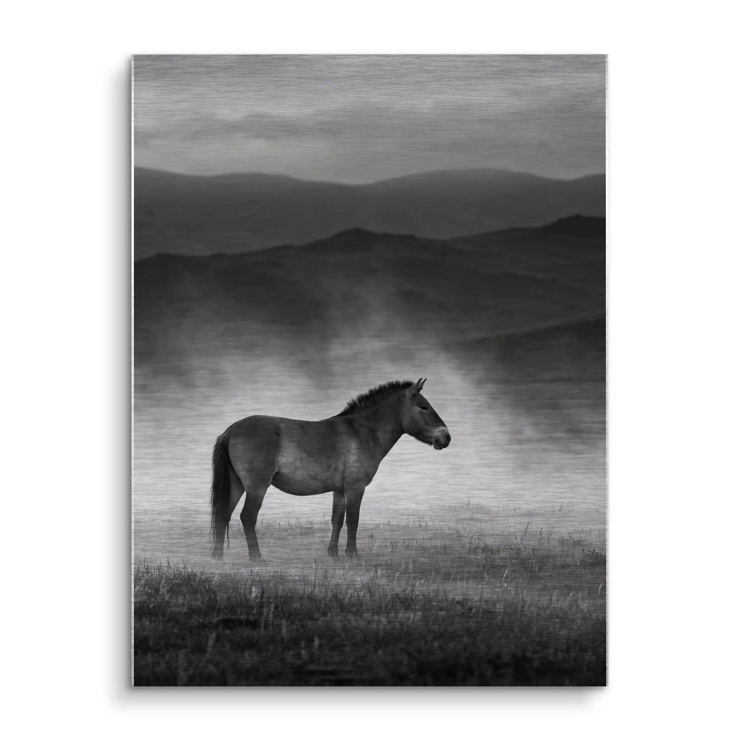 Wild Steppe Horse