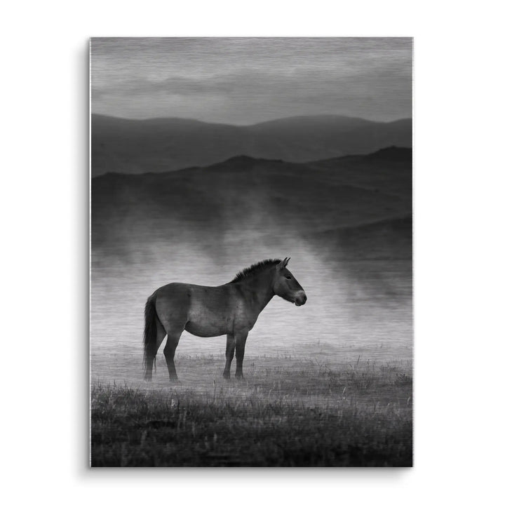 Wild Steppe Horse