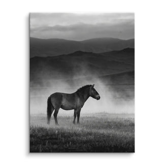 Wild Steppe Horse