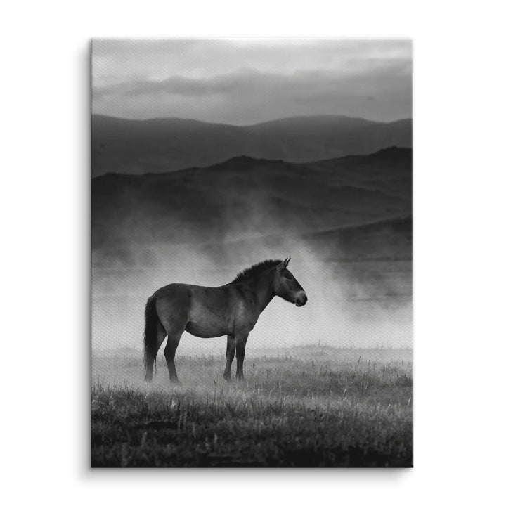 Wild Steppe Horse