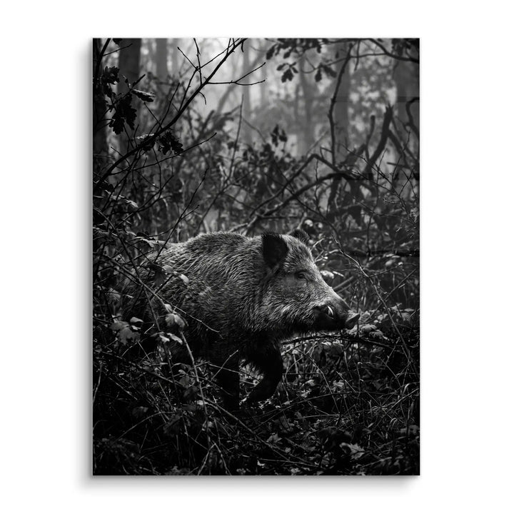 Silent Boar