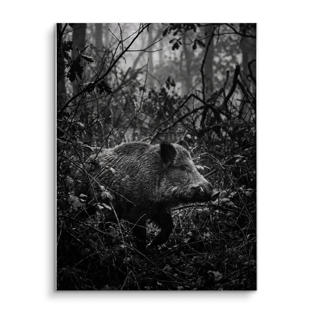Silent Boar