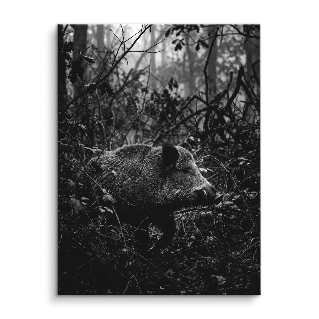 Silent Boar
