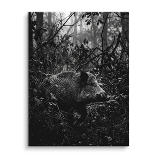 Silent Boar