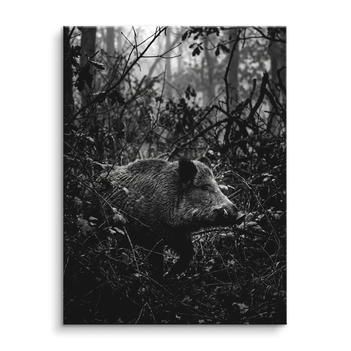 Silent Boar
