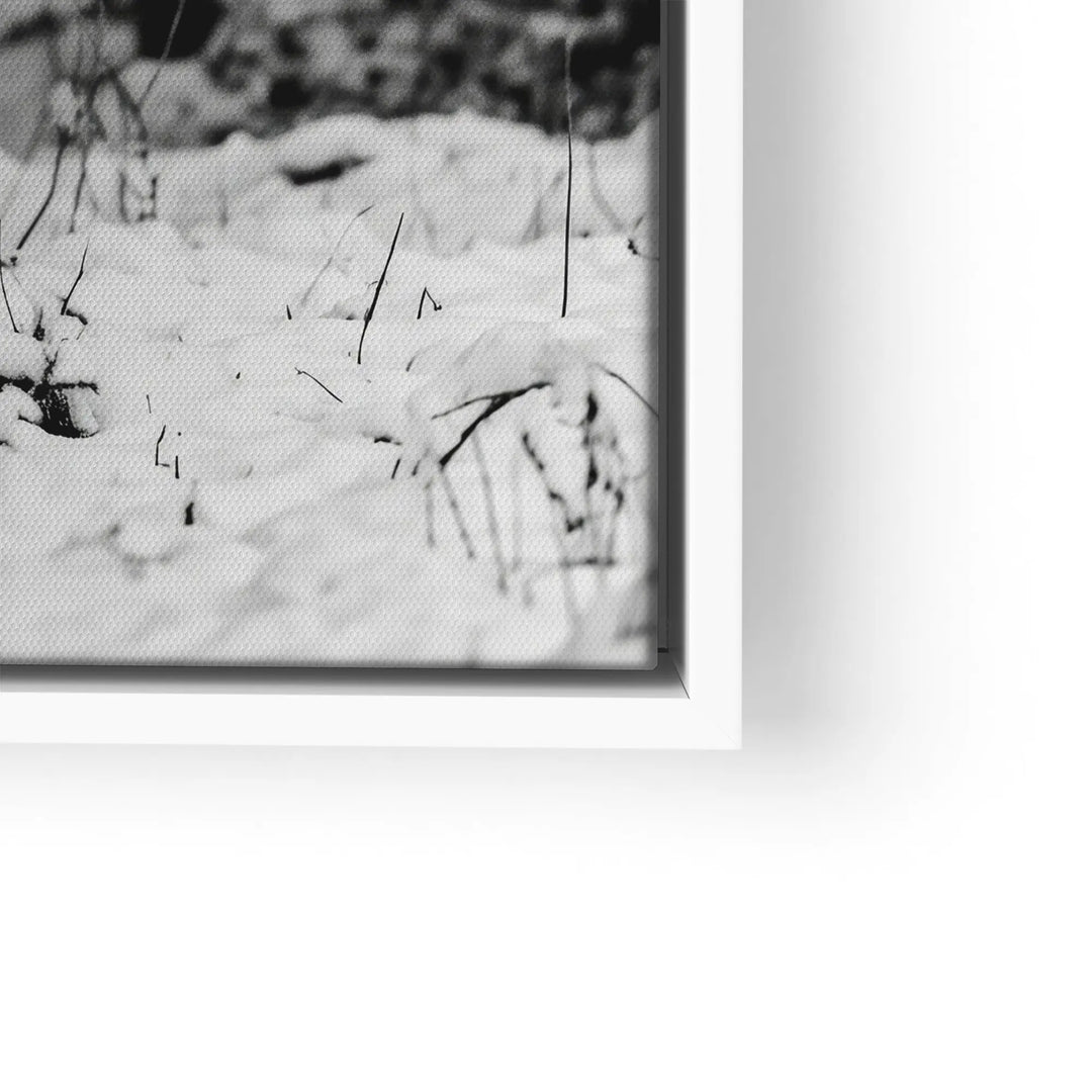 Winter Bison