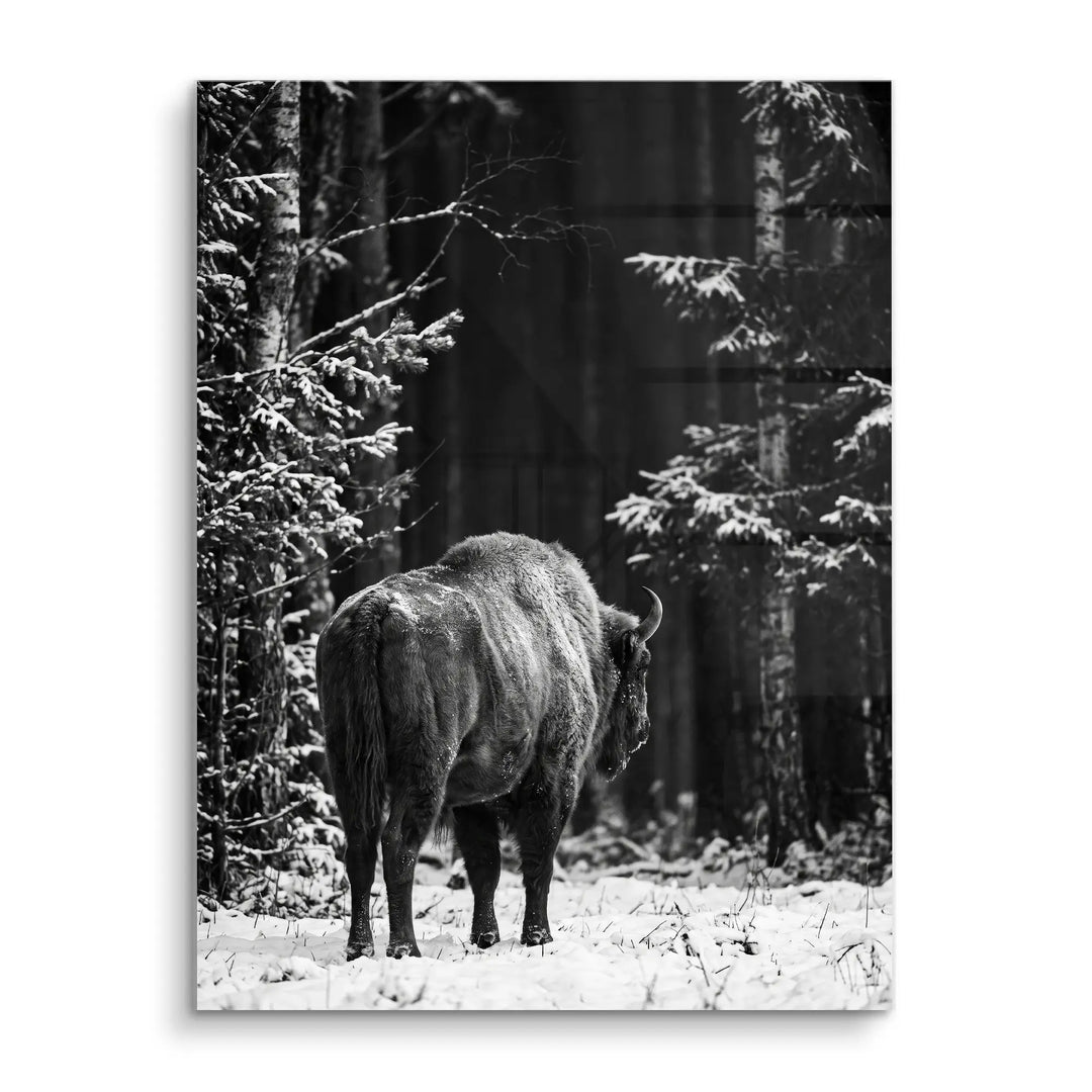 Winter Bison