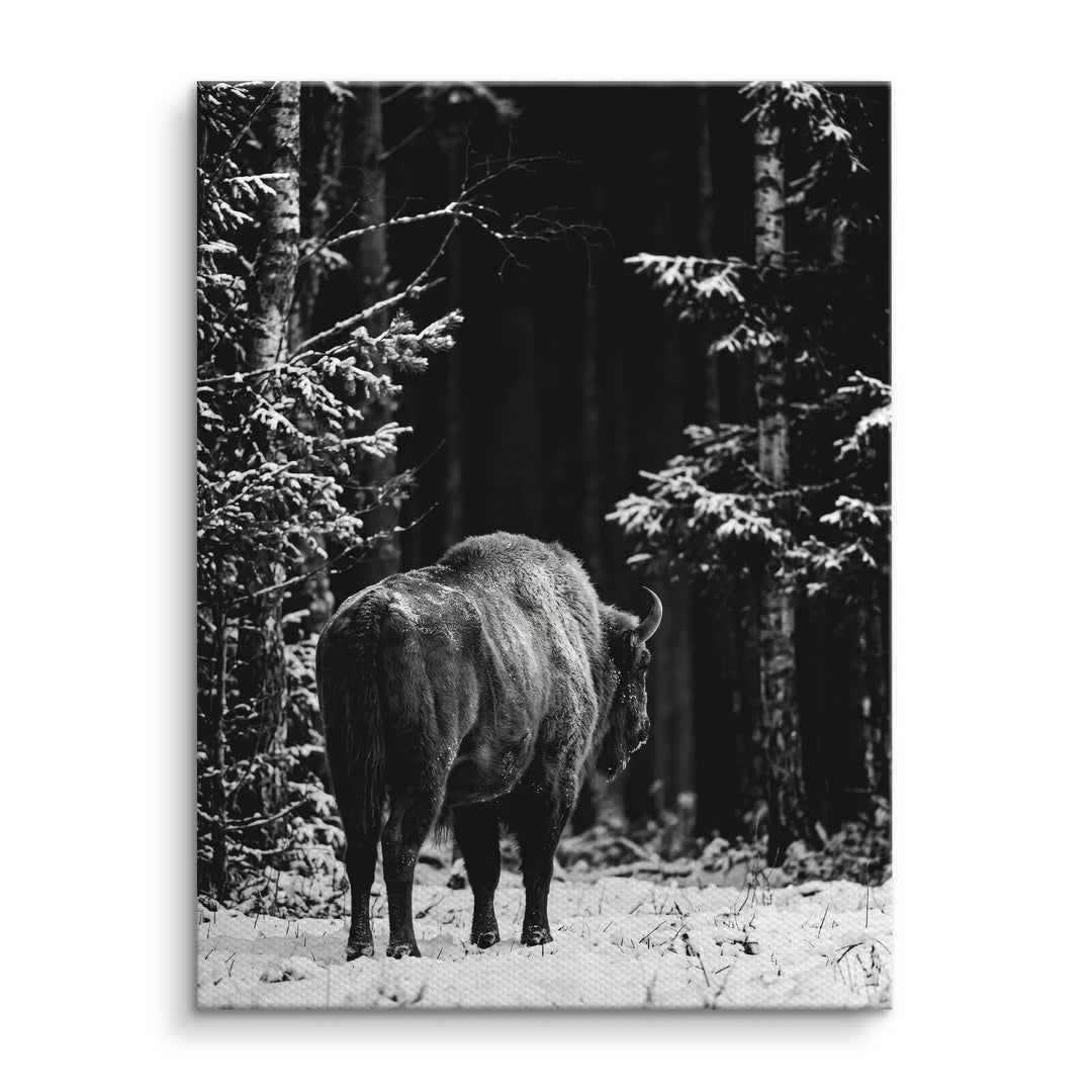 Winter Bison