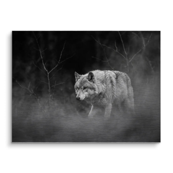 Silent Wolf