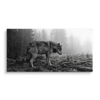 Silent Wolf