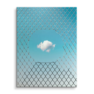 Fenced cloud