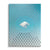 Fenced cloud