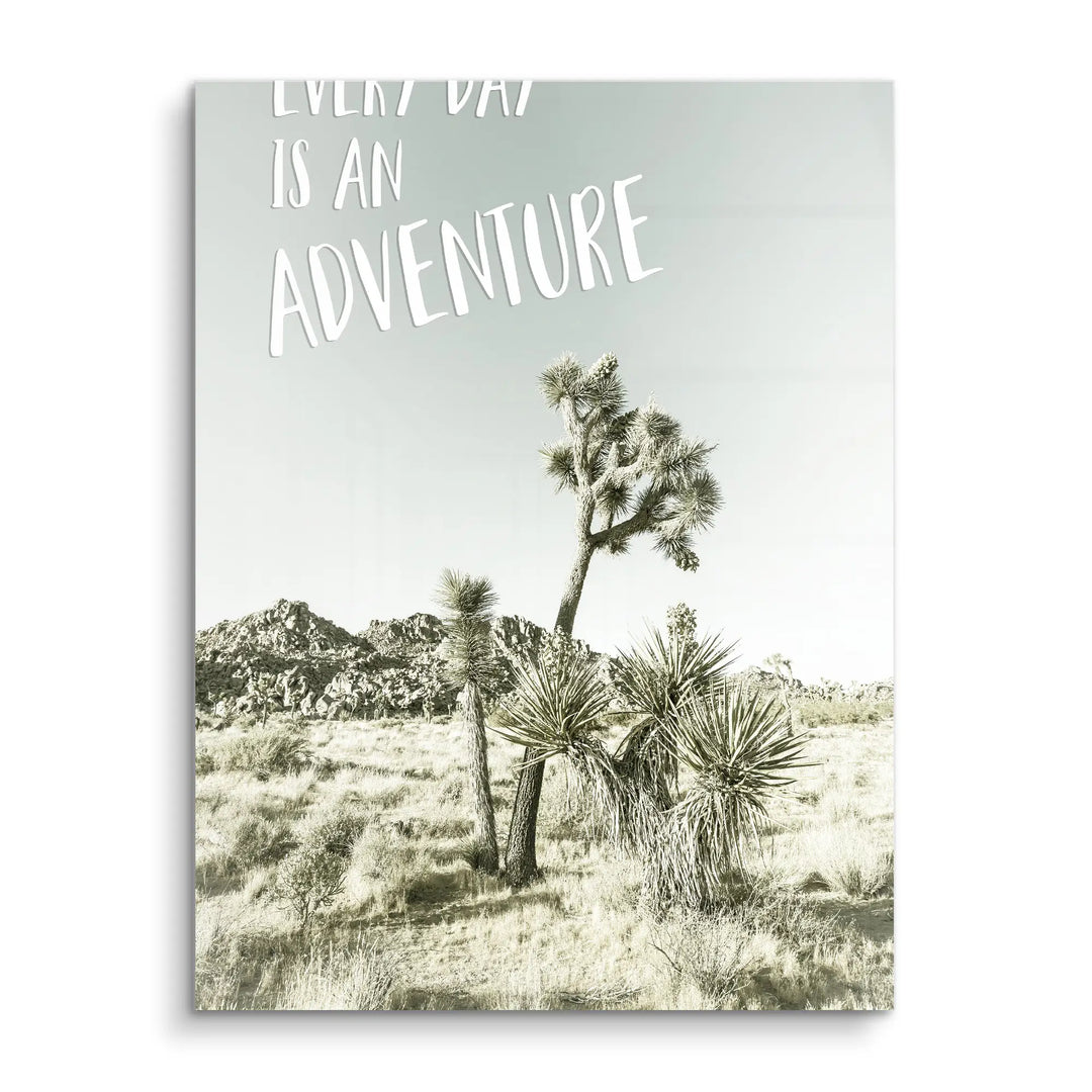 Desert Adventure