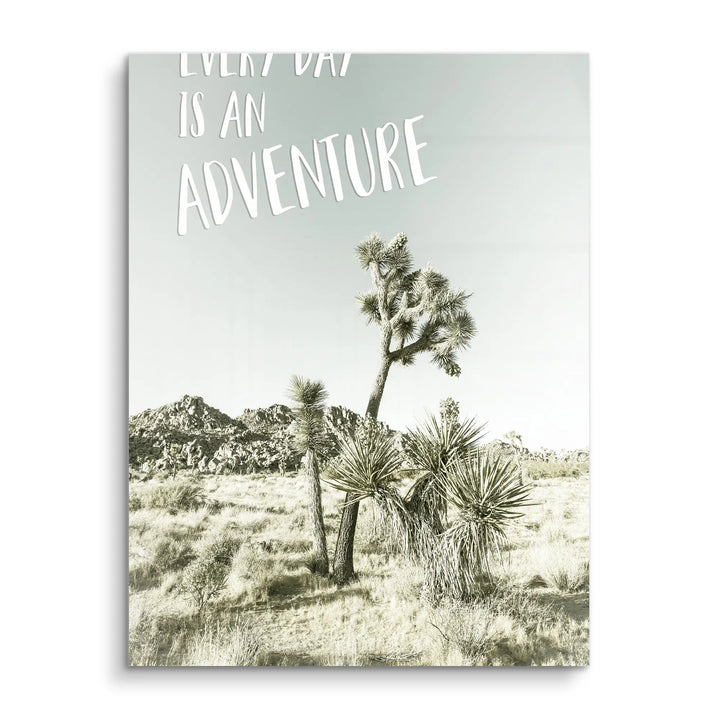 Desert Adventure