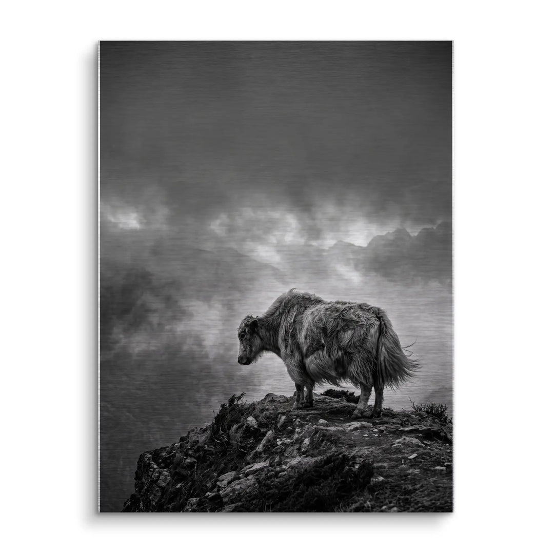 Highland Mist