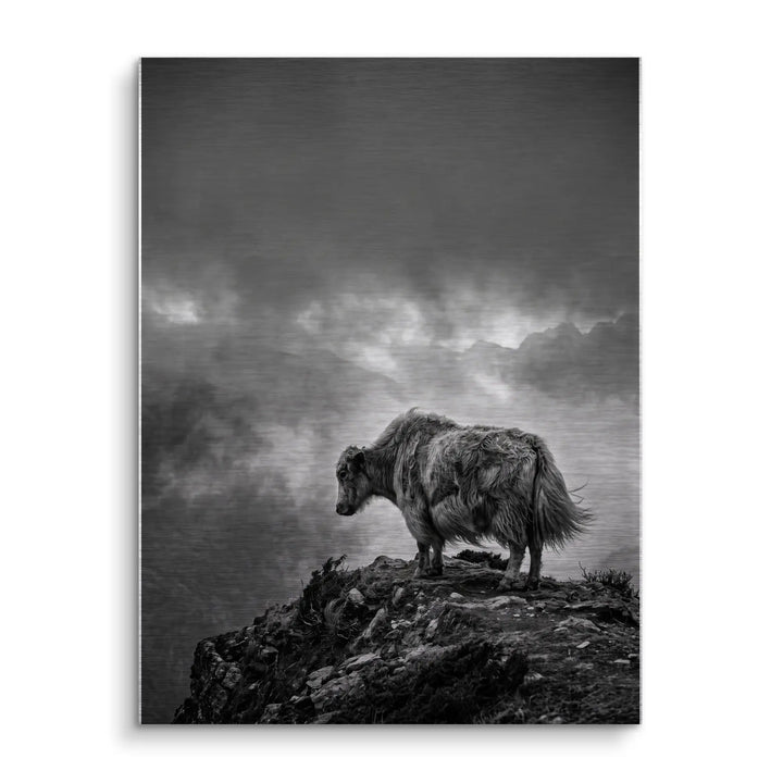 Highland Mist