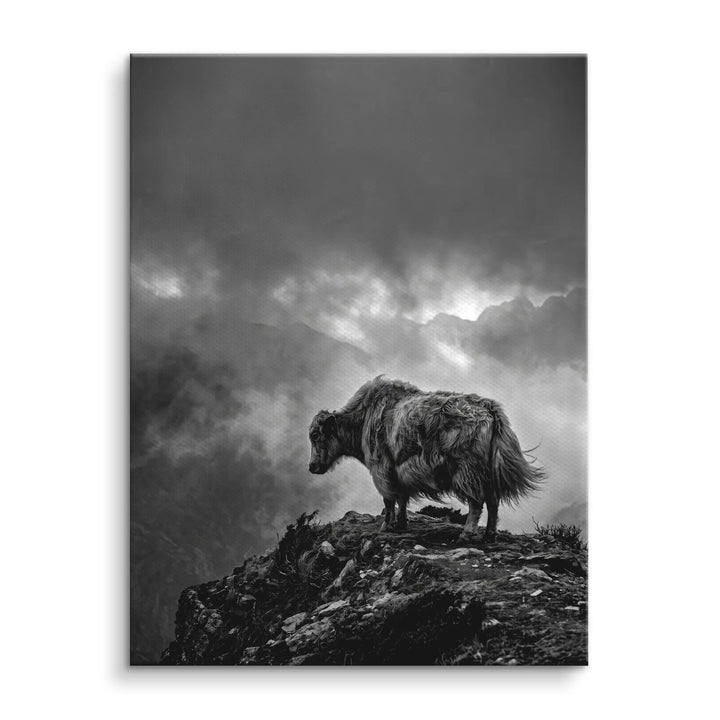 Highland Mist