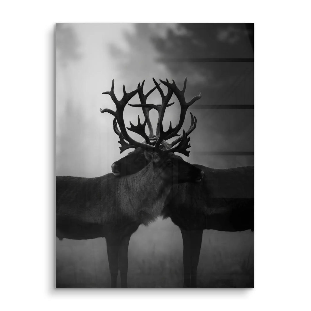 Antler Embrace