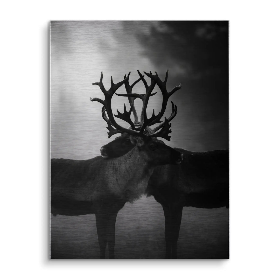 Antler Embrace