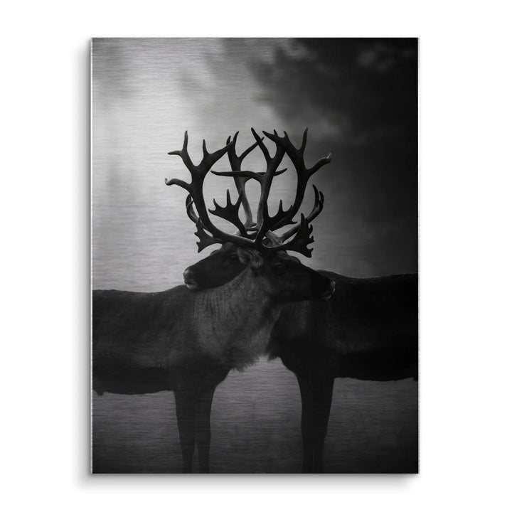 Antler Embrace