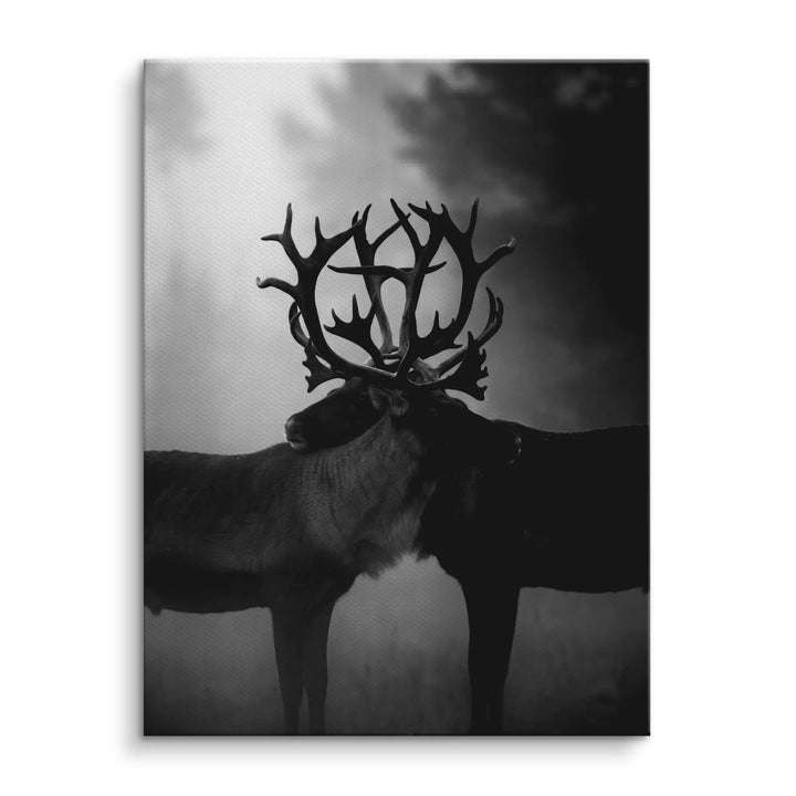Antler Embrace