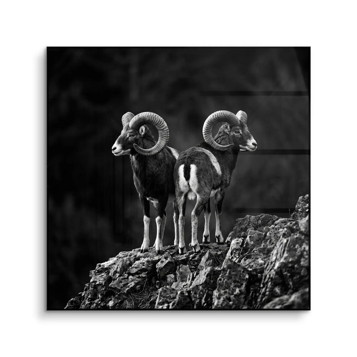 Mountain Guardians