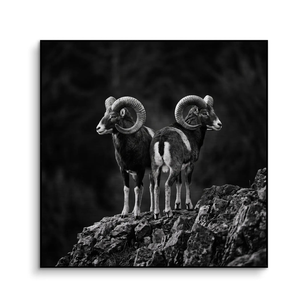 Mountain Guardians