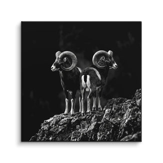 Mountain Guardians