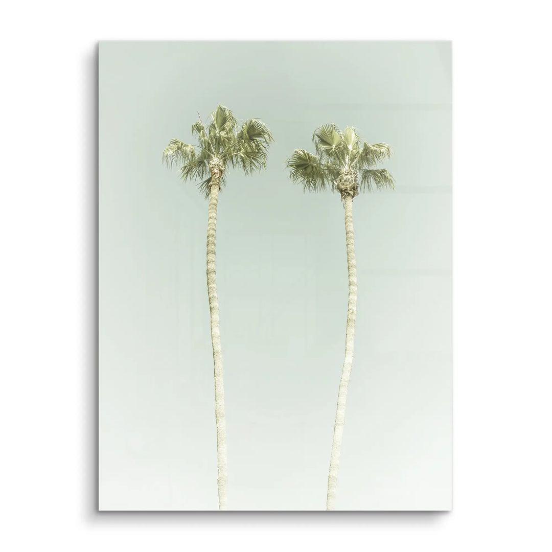 Twin Palms