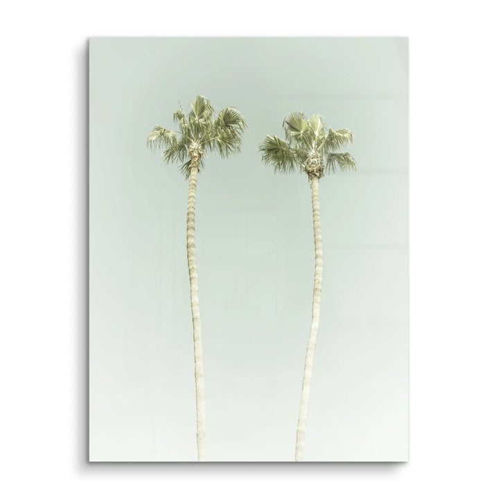 Twin Palms
