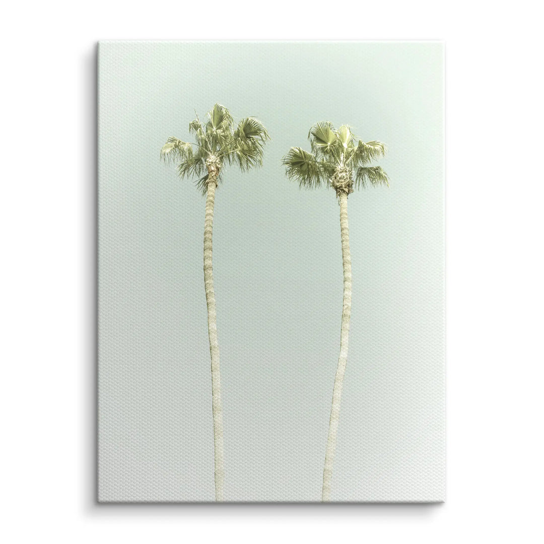 Twin Palms