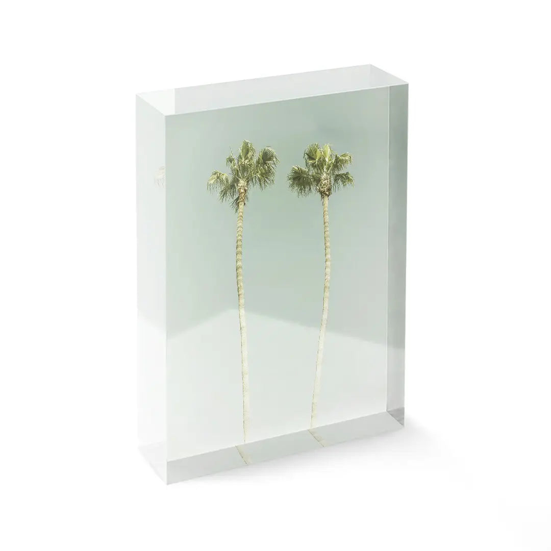 Acrylblock - Twin Palms