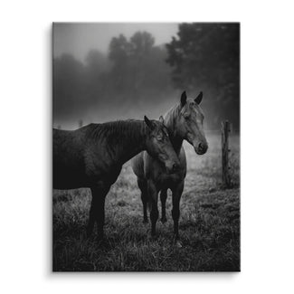 Misty Companions