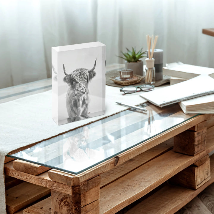 Acrylblock - Highland Cattle